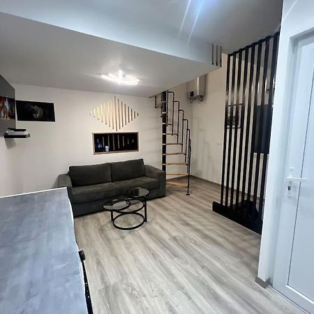 Maison Appartement Triplex Avec Jacuzzi Et Sauna Saint-Etienne  Exterior foto